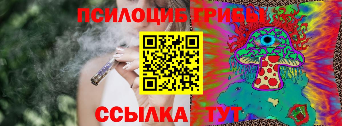 Галлюциногенные грибы Psilocybe  Псилоцибиновые грибы Cubensis  Вход с VPN  Гусь-Хрустальный 